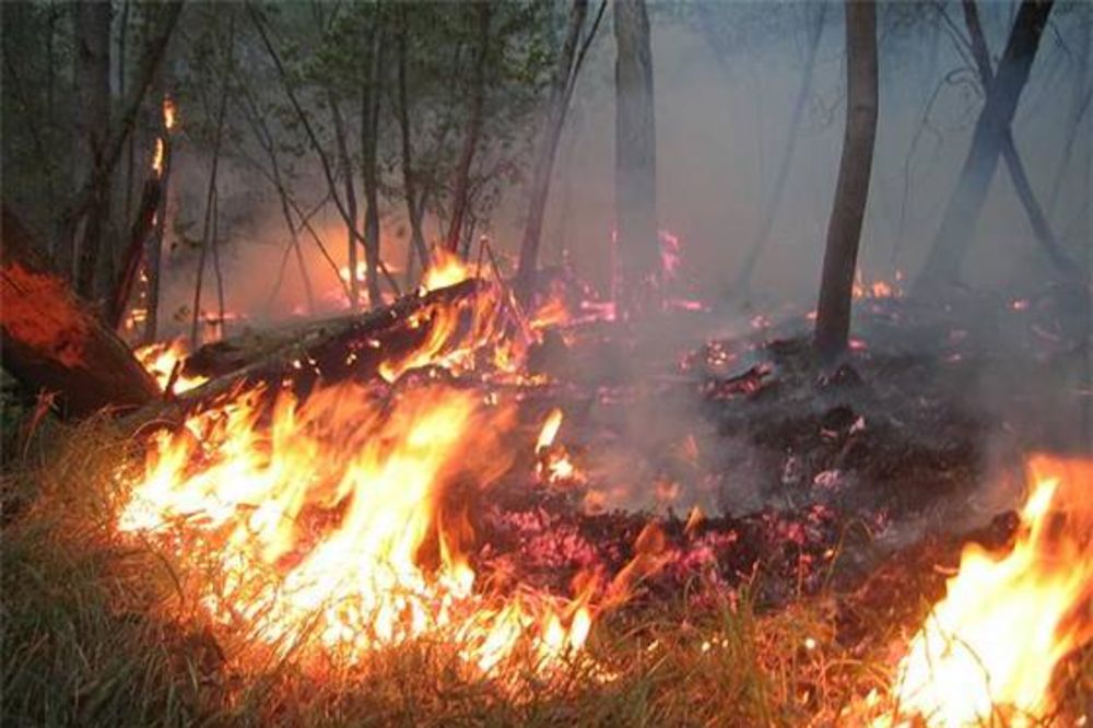 U Kolubarskom okrugu 870 požara, gore i groblja