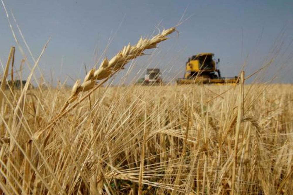 Pokrajinski fond daje nove kredite za poljoprivrednike