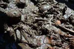 ŠKOLA ZLA: Pronašli kosti dečaka nestalih pre pola veka