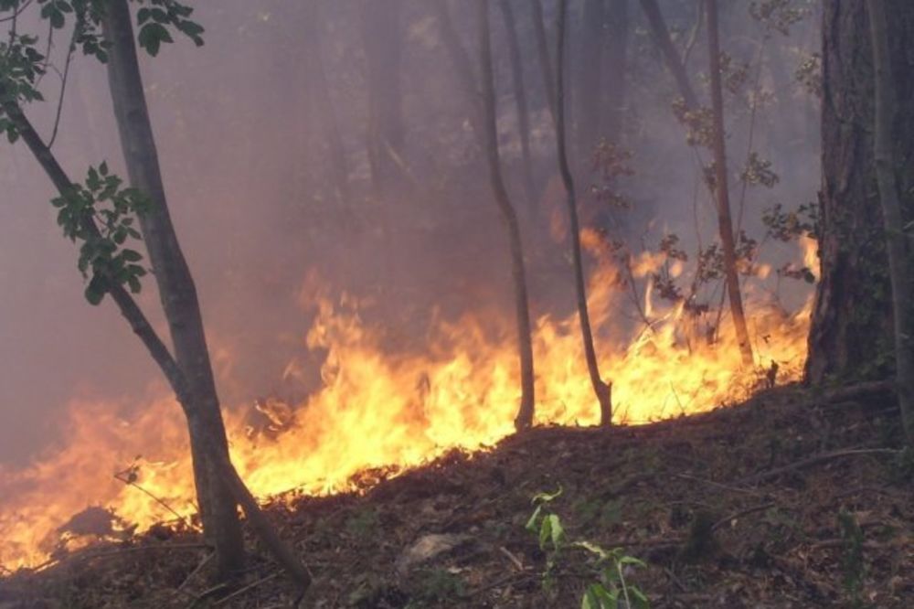 Ugašen požar kod Kuršumlije, sumnja se da je podmetnut