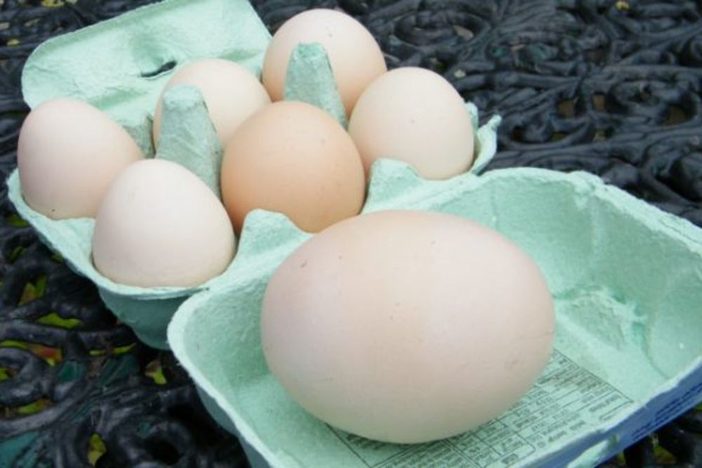SUPER KOKA: Snela jaje od 200 grama