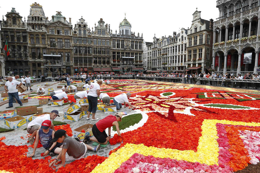 Pogledajte tepih od 600.000 cvetova u Briselu