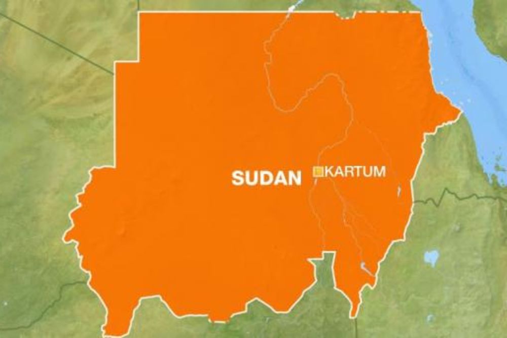 Pao avion sa zvaničnom delegacijom Sudana