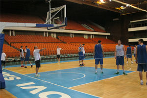 Košarkaši Srbije iz drugog pokušaja doputovali u Tel Aviv