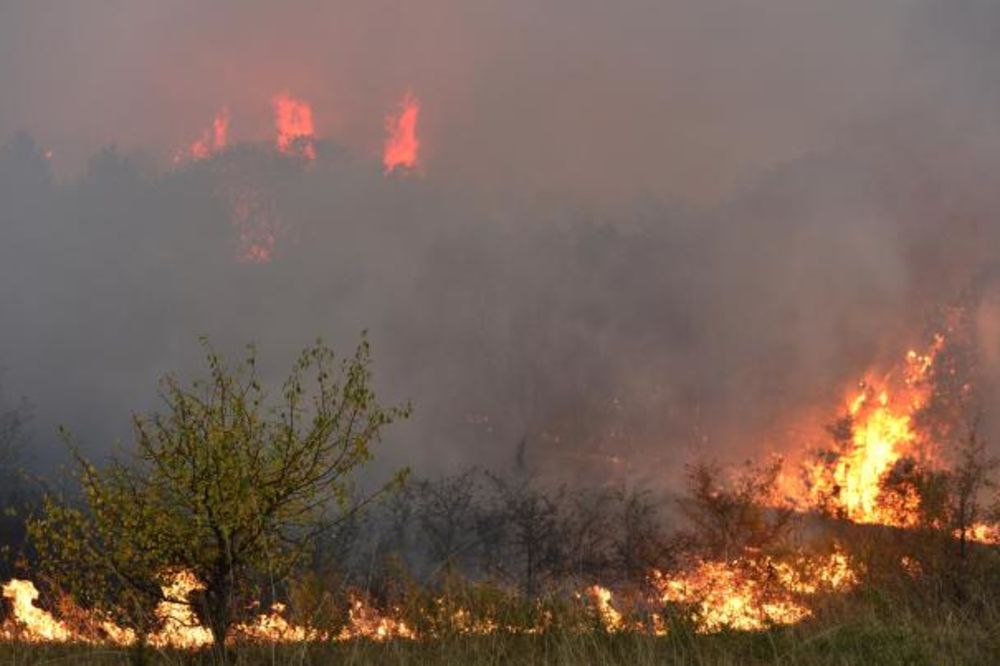 U Srbiji bukti oko 10 velikih požara, kritično na Tari