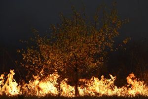 Veliki požar u Žitorađi, kuće nisu ugrožene