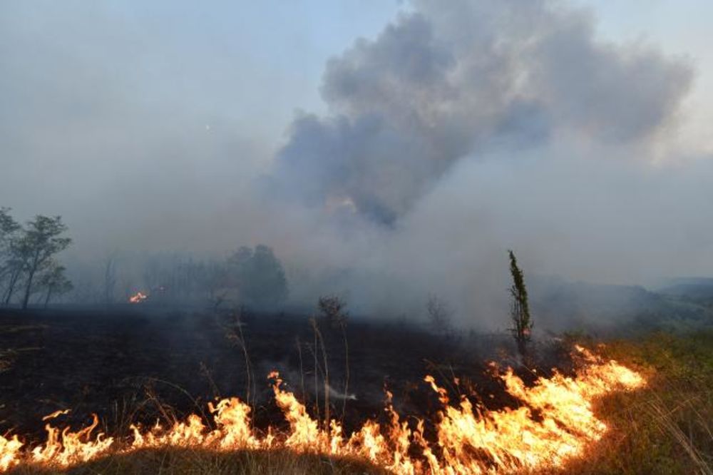 Lokalizovan požar kod Leposavića