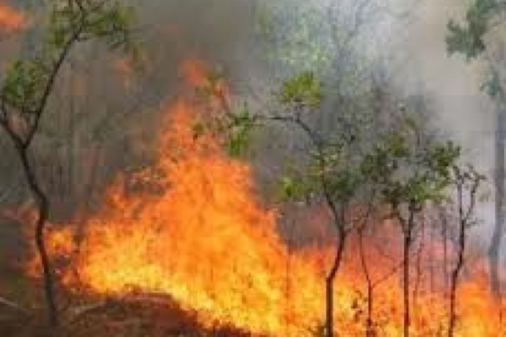 Požar u opštini Leposavić, Kfor ne može da pomogne