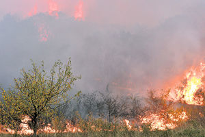 Vatrogasci ugasili požar u selu Caganje