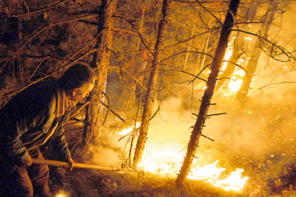 UZBUNA: Gori Tara, grom zapalio šumu iznad Mokre Gore
