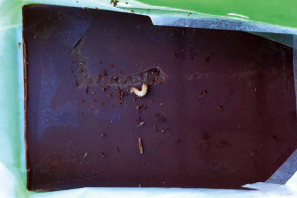 U Krašovoj čokoladici pronašao crva