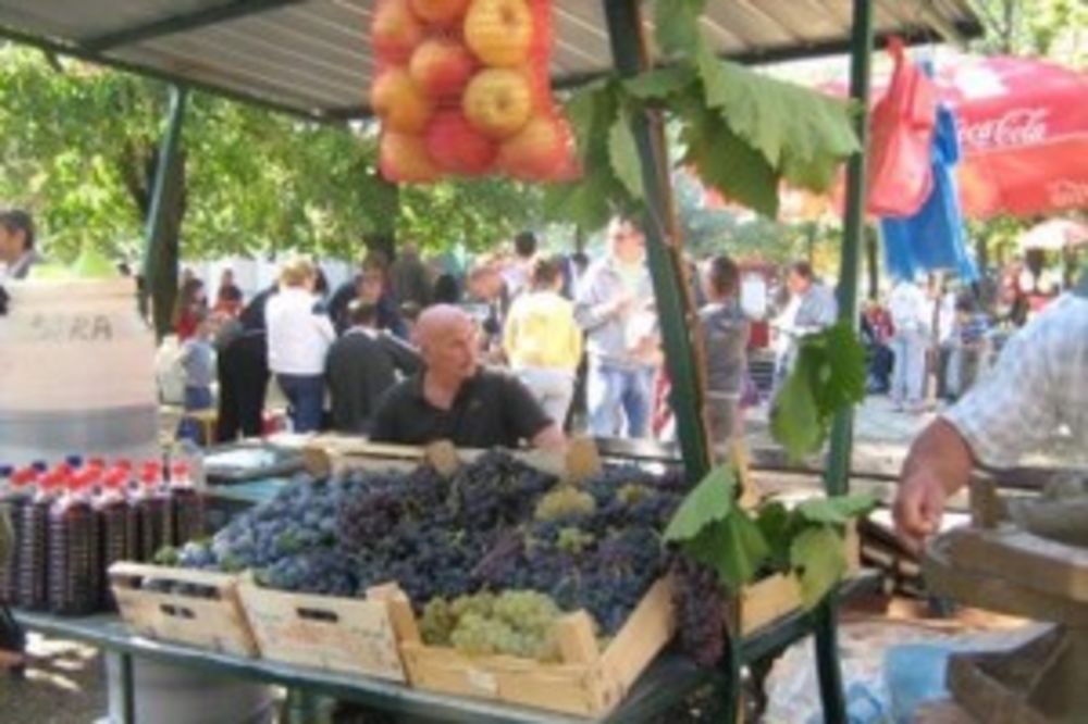 Pudarski dani: Vinarije niču širom fruškogorskog vinogorja