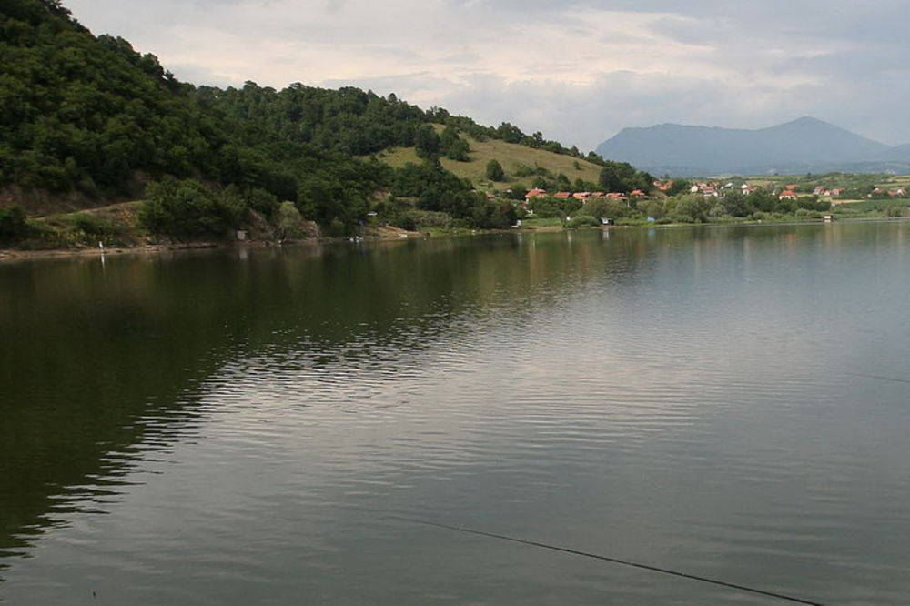 Ešerihija pliva jezerom kod Vranja