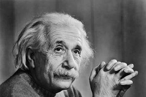 Mozak Alberta Ajnštajna na dlanu