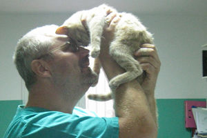 Zemunski doktor Dulitl spasao mačka lutalicu