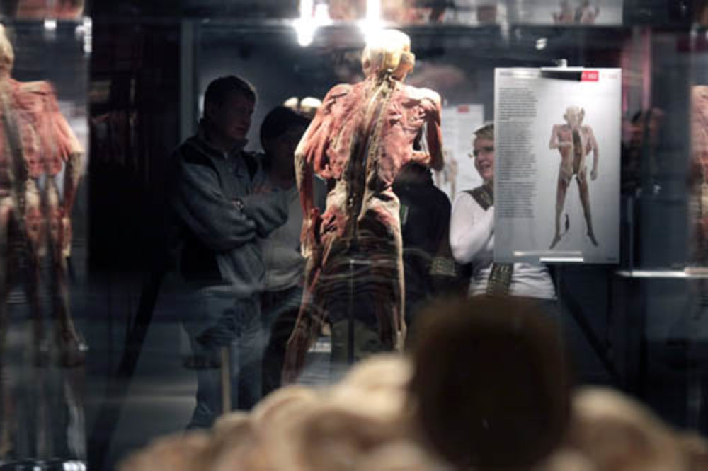 Izložba ljudskih tela od utorka u Beogradu