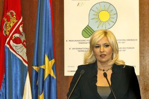 Mihajlovićeva: Privatni kapital rešava monopol u energetici