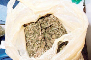 Kraljevo: Pronađen 21 kilogram marihuane kod putnika u autobusu