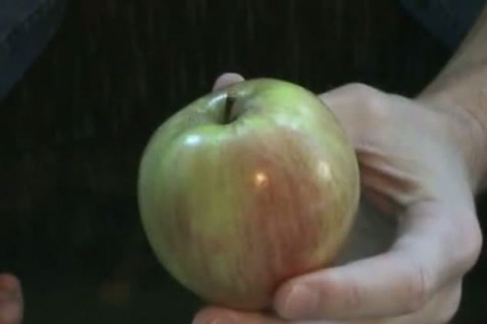 ČUDO: U selu kod Prokuplja drvo kruške rodilo jabuku!