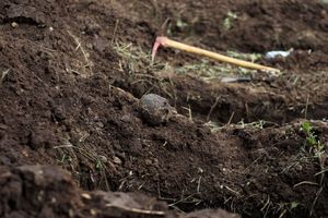 Počinje ekshumacija Srba iz grobnice u Buća Potoku