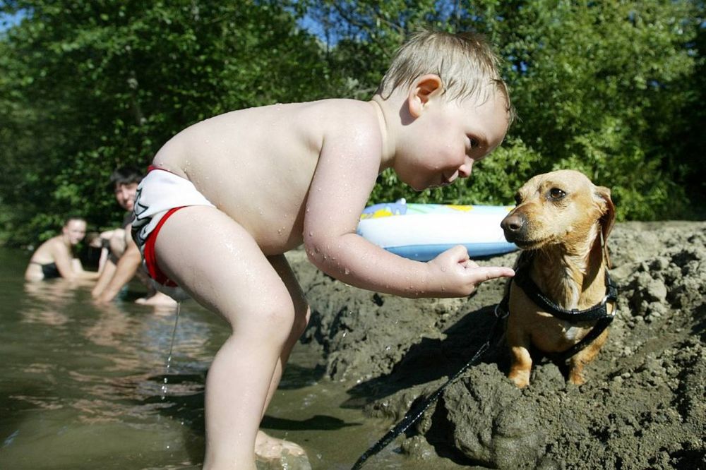 PREŽIVETI VRELE DANE: Dosta tečnosti, odmora i lake hrane!