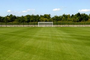 NEMA VAS VIŠE: Grad Medling posle ubedljivog poraza zabranio fudbalerima da uđu na stadion