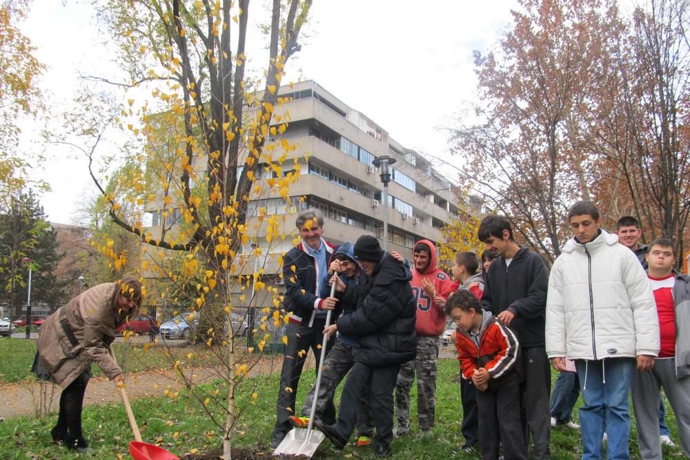 Osnovna škola "Novi Beograd" dobila breze