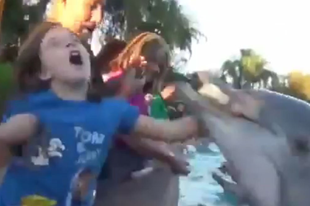 Pogledajte: Delfin ugrizao devojčicu za ruku