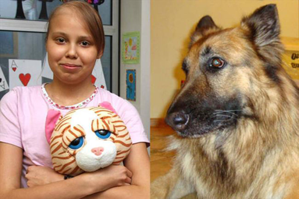 Čudom ozdravila: Pas ljubimac preuzeo Darijinu leukemiju