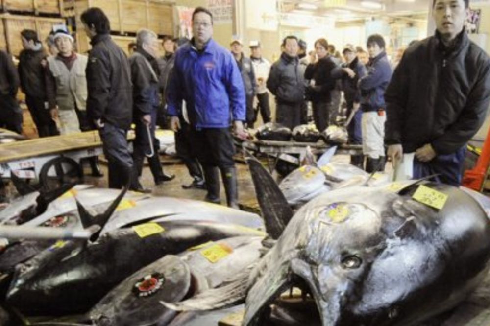 Plavorepa tuna prodata za rekordnih 1,76 miliona dolara
