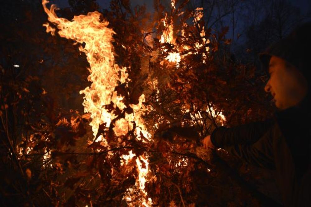 ČUVAJU TRADICIJU: Srbi u Beču i širom Austrije čekaju Božić uz badnjak i na liturgiji!