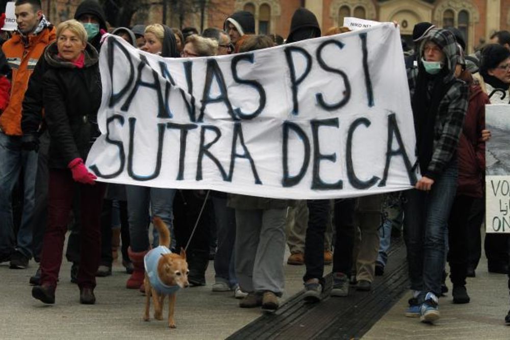 Novi Sad: Protest zbog trovanja pasa