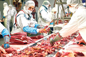 AFERA KONJETINA: Otrovno meso prodavali u EU