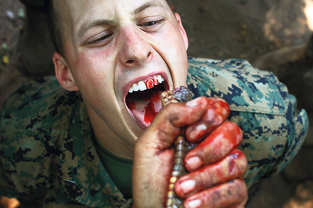 Marinci pili kobrinu krv