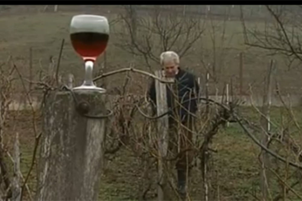 PREKINUO TRADICIJU: U kraju šljivika zasadio vinograd