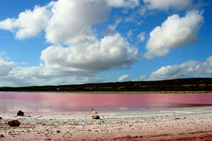 FENOMEN: Jezero boje lila