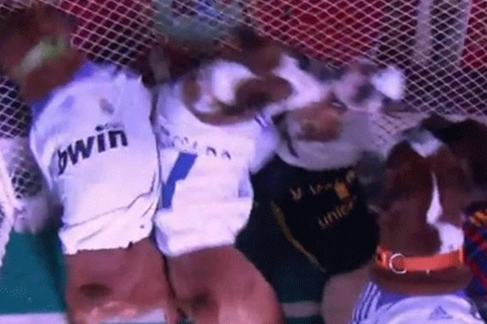 EL KLASIKO: Psi igraju meč kao Mesi i Ronaldo!