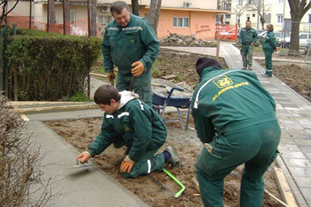 Uređuju se zelene površine kod Cvetkove pijace