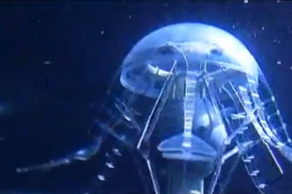 NOVO ORUŽIJE SAD: Robotska meduza ratne mornarice!