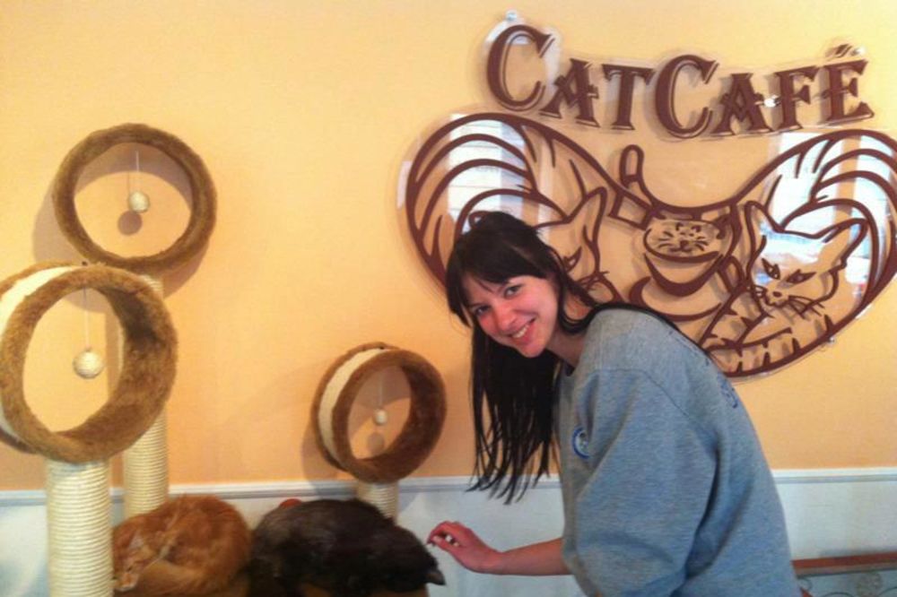 UŽIVANCIJA: Kafe bar gde vam mačke prave društvo