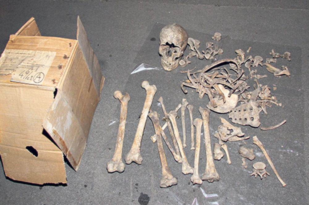 MISTERIJA: U kontejneru skelet iz bronzanog doba