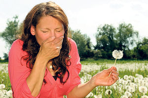 Alergije zadaju ozbiljne probleme
