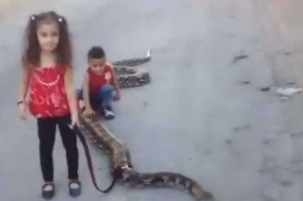 KUĆNI LJUBIMAC: Brat i sestra šetaju zmiju!