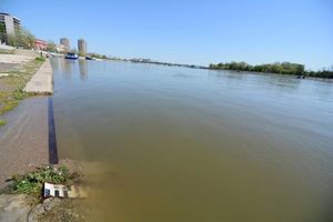 Babić: Dunav raste iz časa u čas
