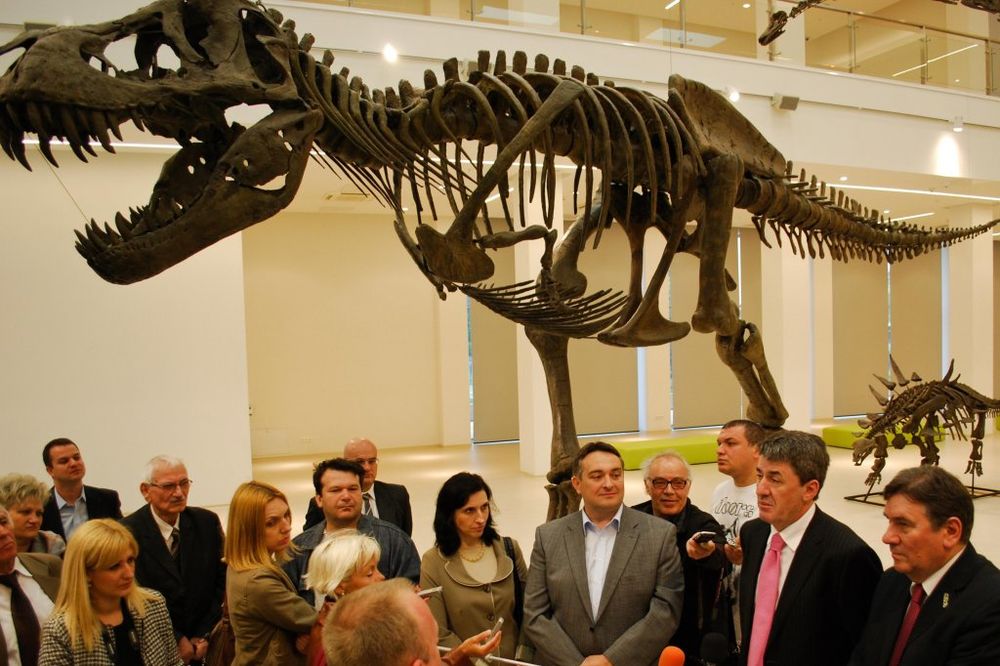 Dino park u Svilajncu otvara se 1. septembra