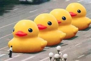 Kina zabranila pojam žuta patka u pretrazi interneta!