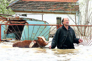 CUNAMI S DUNAVA: Srbiji preti potop!