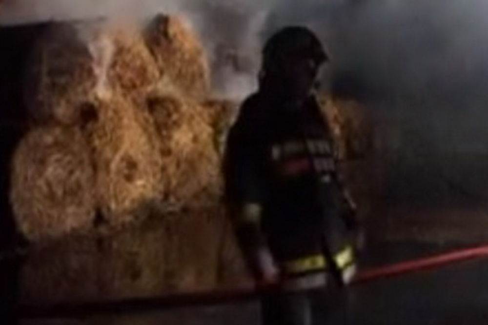 Ugašen požar u ataru kod Novog Sada