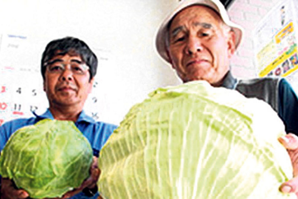 JEZIVO: Povrće s tumorima raste u Fukušimi!