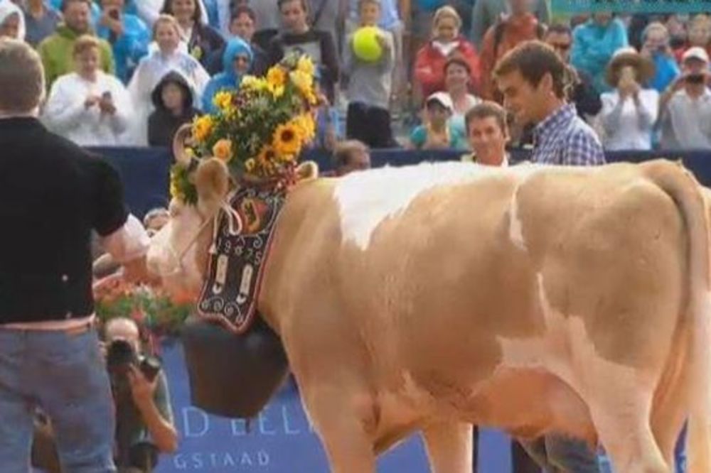 STOČAR: Federer dobio kravu na poklon